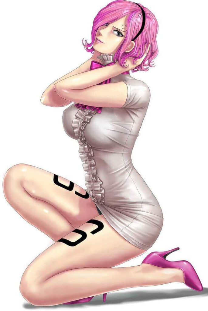 6枚目《エロ画像》ヴィンスモーク・レイジュちゃんのパンチラが可愛い画像《ONEPIECE》