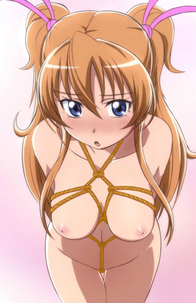 2枚目 プリキュア エロ画像