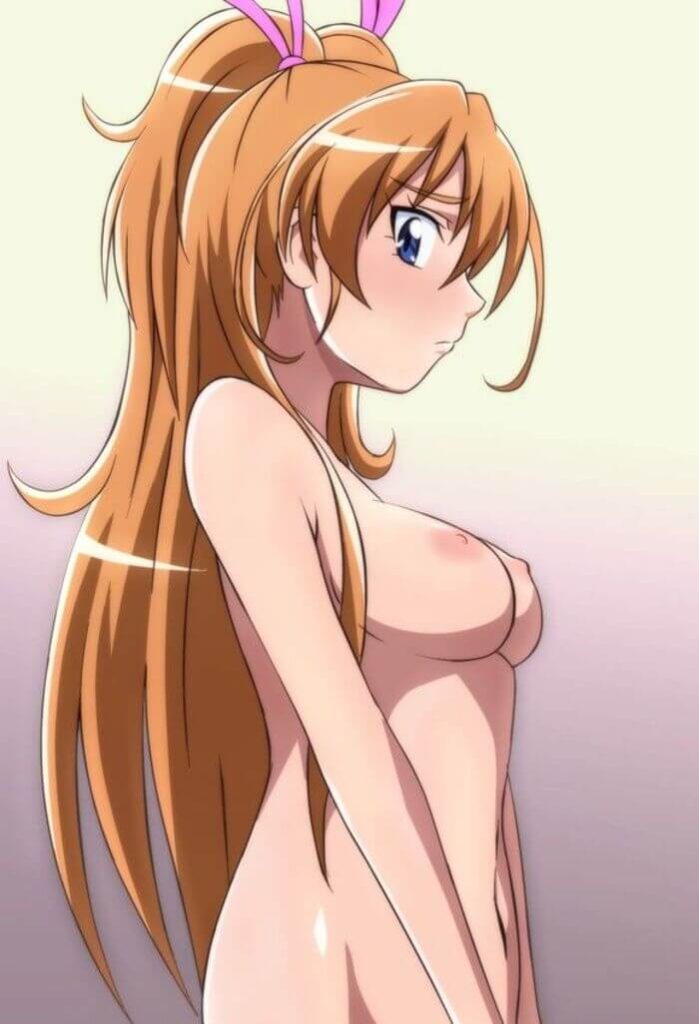 14枚目 プリキュア エロ画像