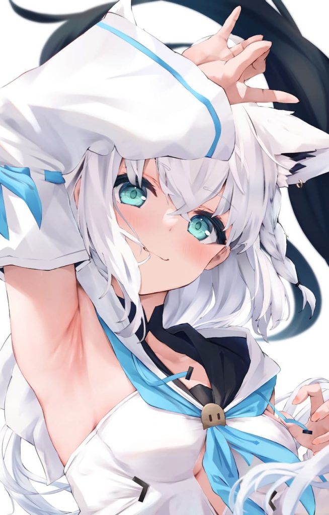 15枚目　ホロライブ(VTuber)　白上フブキ(しらかみふぶき)のエロ画像