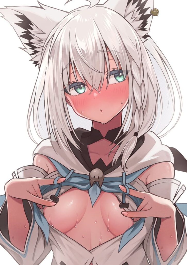 14枚目　ホロライブ(VTuber)　白上フブキ(しらかみふぶき)のエロ画像