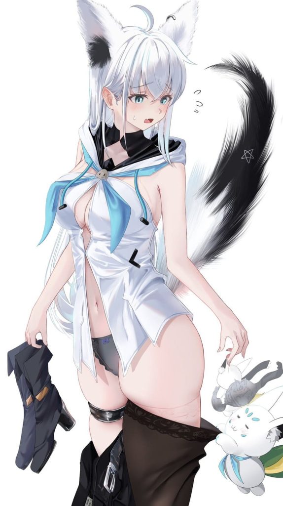 17枚目　ホロライブ(VTuber)　白上フブキ(しらかみふぶき)のエロ画像