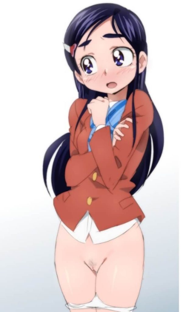 15枚目　プリキュア　エロ画像