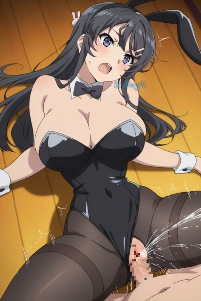 3枚目 青春ブタ野郎シリーズのエロ画像